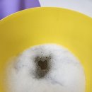 송강동물병원 | 고양이 인덕션 주의사항 ~~ 대전고양이미용실 페르시안캣