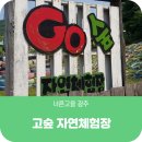 고숲자연체험장