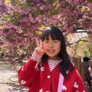4월 셋째주 주간일기 (2023.04.17~2023.04.23) 불국사겹벚꽃 보문단지오리배