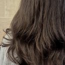 효행초등학교 | 새로운 헤어 스타일, 나만의 매력을 발견하는 곳을 찾았어요!