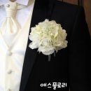 애스플로리