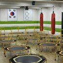 우진태권도 이미지