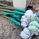 고락산 산신제 이미지