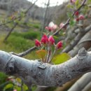 한주 꿀벌 농장 이미지