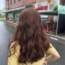 올리브영 제니하우스 핑크브라운 셀프 염색 후기 탈색없이 내돈내산