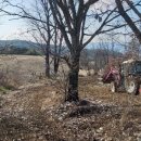 미루농장 이미지