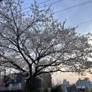 세븐일레븐 천안목천마론점 이미지