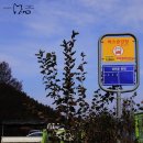 냉천골 할매집 이미지