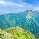 웰빙나라(과일이랑야채랑) 이미지