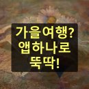 [서유기]낯선 세계로 떠나는 모험의 기록 | 가을여행 앱 추천 편리한 여행