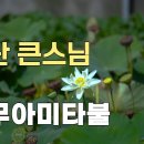 수산큰스님 염불과 정토로 가는 길 법문(유튜브) 이미지