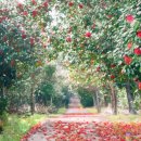 신흥2리 복지타운 이미지