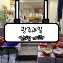 신선한녀석들