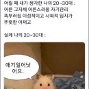 망원역 빠른환승 8-4