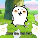 쌀고집