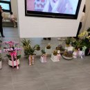 클럽밸런스5  광주진월점 이미지