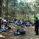 디자인컨설팅숲 이미지
