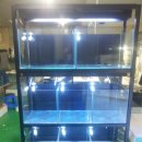 오천수족관 이미지