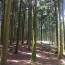 절물자연휴양림 이미지