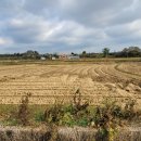 금천1리마을회관 이미지