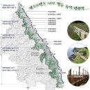 관동팔경 녹색경관길 이미지