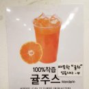 카페트리커피나무 이미지