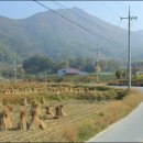 남산터미널 앞 이미지