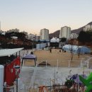 동백 숲속애견랜드 이미지