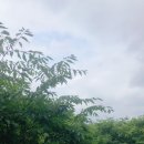 고지소류지 이미지