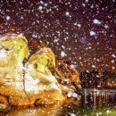 목포낙지아구찜탕 이미지