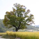 펜션 젤코바 이미지