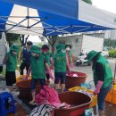 빨래마을 이미지