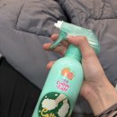 대신발 | 에프킬라 대신 발을씻자로 벌레 사살 후기