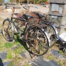 태백탄광촌 이미지