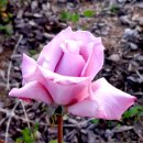 어울림공원 이미지