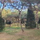 무네미로 이미지