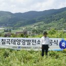 은성 태양광 이미지