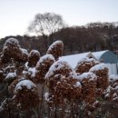 존강천 | 눈 오는 루브시엔 2 _ 알프레드 시슬레