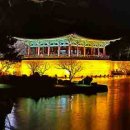 경주 티스토리