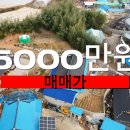 성심부동산중개인 이미지