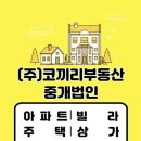 신선동-15 이미지