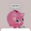 꽃돼지 - 구리시 | 꽃돼지
