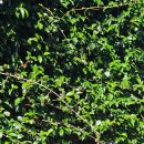 제주 올레길 18코스 이미지