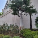 수원교구 중앙성당 티스토리
