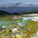 하천 실시간 감시 이미지