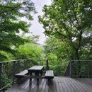 비온후풍경 이미지