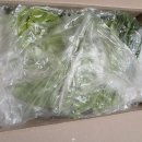 늘푸른농장 1 이미지