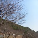 초원커피숍 이미지
