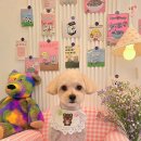 브리앙뜨몽 이미지