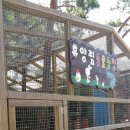 좌구산 흑염소 이미지